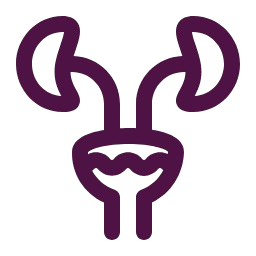 icon01