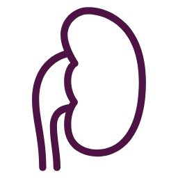 icon01