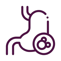 icon01