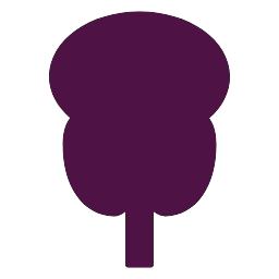 icon01