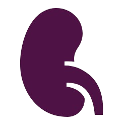 icon01
